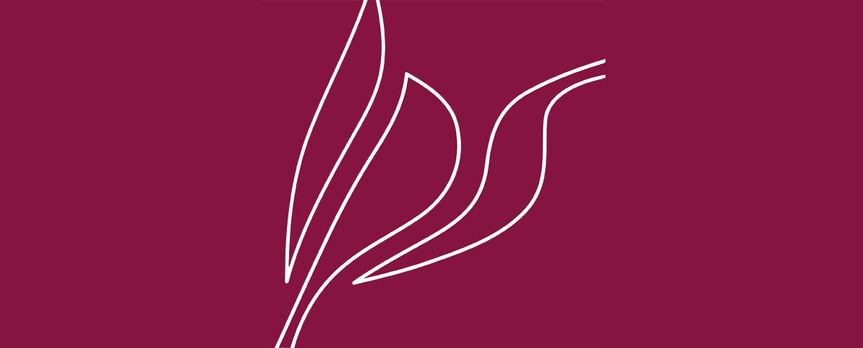 The Association of Latvian Municipal Social Care Institutions (LPSAIA) 